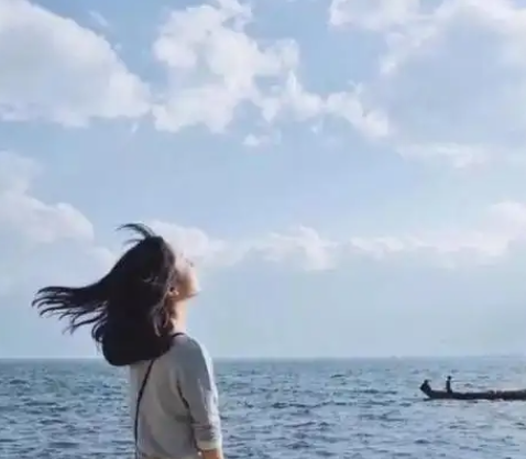 赵婉清